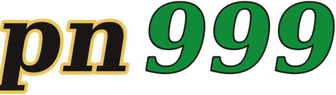 pn999 logo